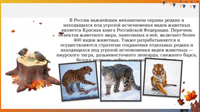 В России важнейшим механизмом охраны редких и находящихся под угрозой исчезновения видов животных является Красная книга Российской Федерации. Перечень объектов животного мира, занесенных в неё, включает более 400 видов животных. Также разрабатываются и осуществляются стратегии сохранения отдельных редких и находящихся под угрозой исчезновения видов животных — амурского тигра, дальневосточного леопарда, снежного барса, белого медведя, зубра, сахалинской кабарги.  Page  