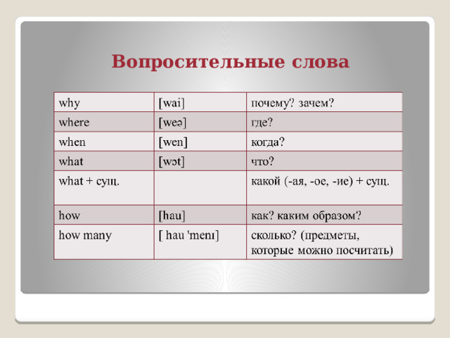 Вопросительные слова 