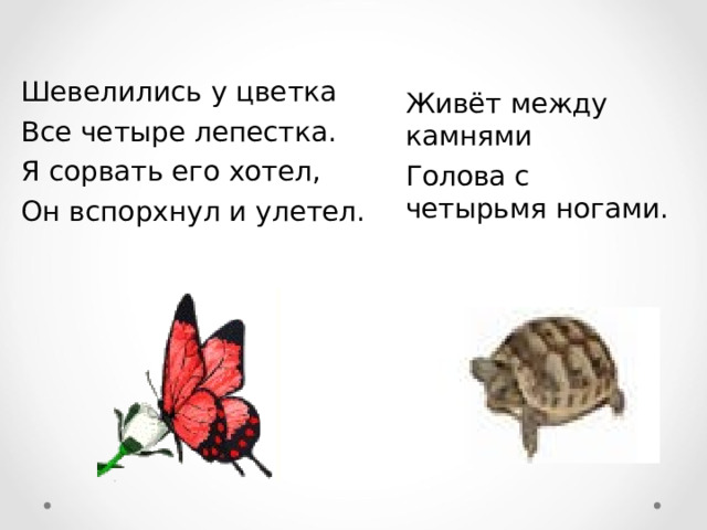 Шевелились у цветка Все четыре лепестка. Я сорвать его хотел, Он вспорхнул и улетел. Живёт между камнями Голова c четырьмя ногами. 