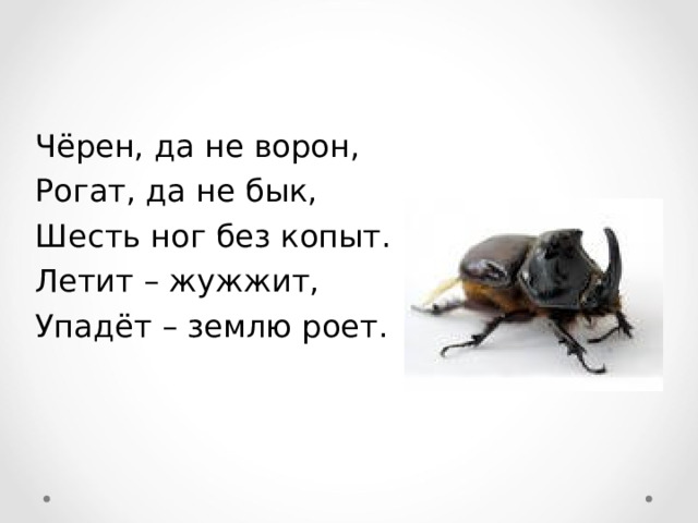 Чёрен, да не ворон, Рогат, да не бык, Шесть ног без копыт. Летит – жужжит, Упадёт – землю роет. 