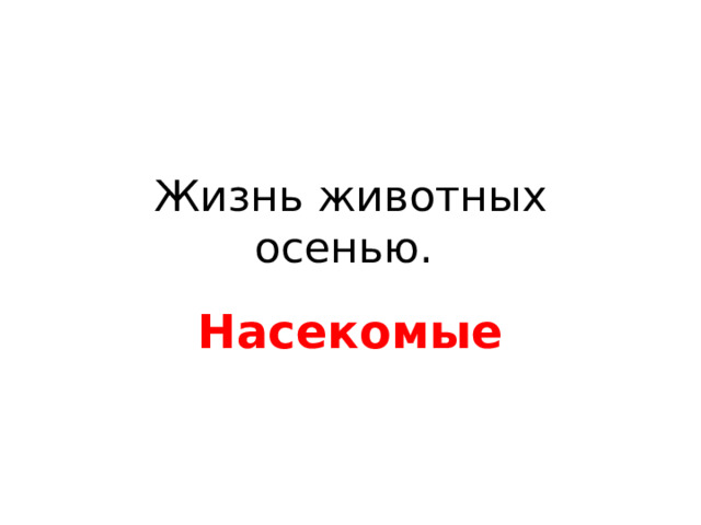 Жизнь животных осенью. Насекомые 