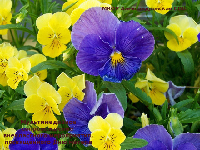 02/22/2023 http://aida.ucoz.ru  