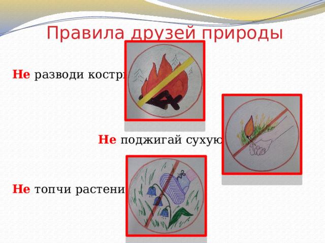 Правила друзей природы Не  разводи костры.  Не поджигай сухую траву. Не топчи растения. 
