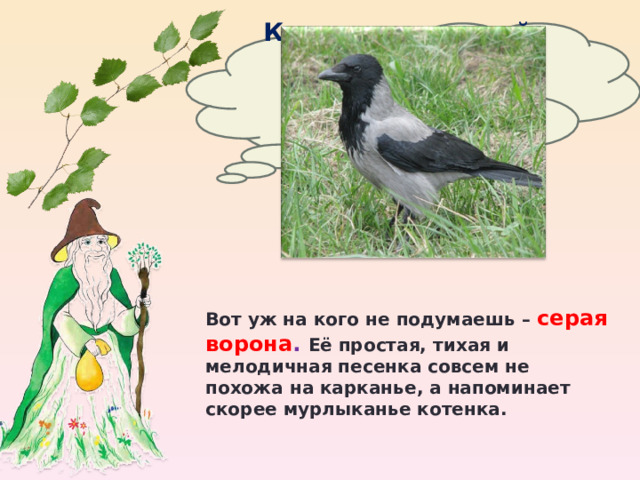 Какая птица своей песней предвещает скорый приход весны? Вот уж на кого не подумаешь – серая ворона . Её простая, тихая и мелодичная песенка совсем не похожа на карканье, а напоминает скорее мурлыканье котенка. 