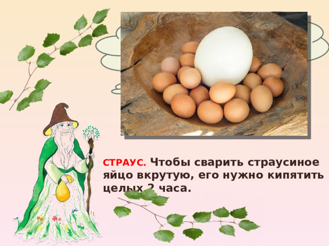 Какая птица высиживает самые крупные яйца? СТРАУС. Чтобы сварить страусиное яйцо вкрутую, его нужно кипятить целых 2 часа. 