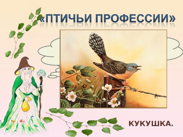 Легкомысленная мамаша КУКУШКА. 