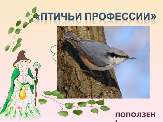 Птица – акробат ПОПОЛЗЕНЬ. 