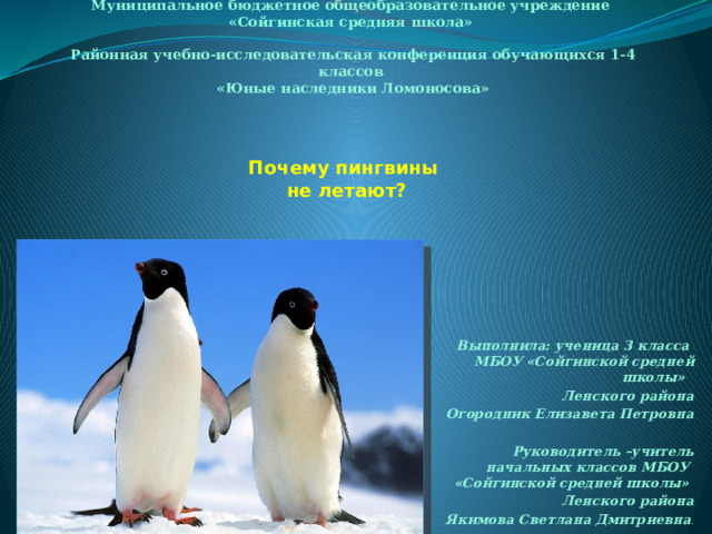 Муниципальное бюджетное общеобразовательное учреждение «Сойгинская средняя школа»  Районная учебно-исследовательская конференция обучающихся 1-4 классов «Юные наследники Ломоносова»       Почему пингвины  не летают? Выполнила: ученица 3 класса МБОУ «Сойгинской средней школы» Ленского района Огородник Елизавета Петровна  Руководитель –учитель начальных классов МБОУ «Сойгинской средней школы» Ленского района Якимова Светлана Дмитриевна .  