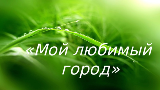  «Мой любимый город» 