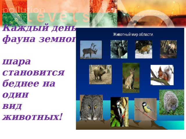     Каждый день фауна земного  шара становится беднее на один  вид животных! 