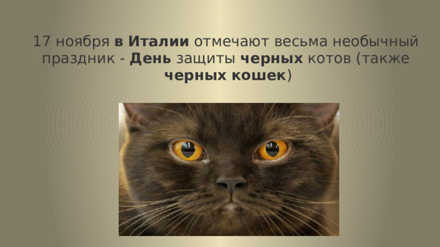  17 ноября  в   Италии  отмечают весьма необычный праздник - День  защиты  черных  котов (также   черных   кошек )   