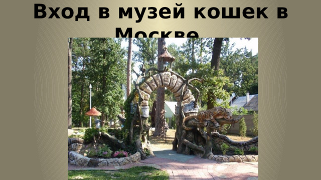 Вход в музей кошек в Москве. 