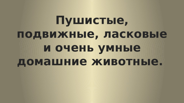 Пушистые, подвижные, ласковые и очень умные домашние животные.  