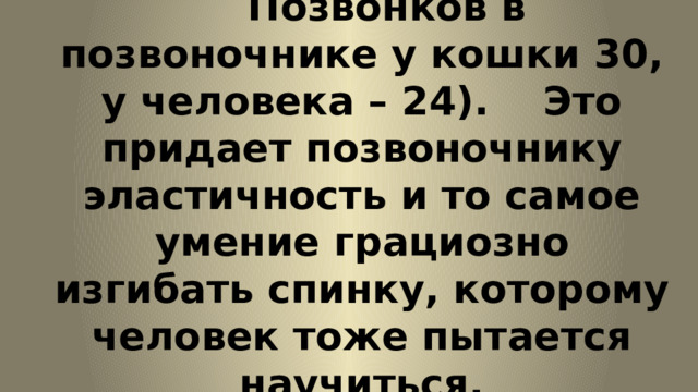  Позвонков в позвоночнике у кошки 30, у человека – 24). Это придает позвоночнику эластичность и то самое умение грациозно изгибать спинку, которому человек тоже пытается научиться. 
