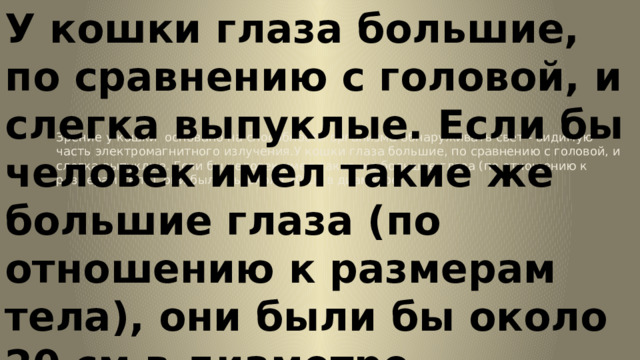 У кошки глаза большие, по сравнению с головой, и слегка выпуклые. Если бы человек имел такие же большие глаза (по отношению к размерам тела), они были бы около 20 см в диаметре. Зрение у кошки  основано на способности организма обнаруживать свет - видимую часть электромагнитного излучения.У кошки глаза большие, по сравнению с головой, и слегка выпуклые. Если бы человек имел такие же большие глаза (по отношению к размерам тела), они были бы около 20 см в диаметре. 