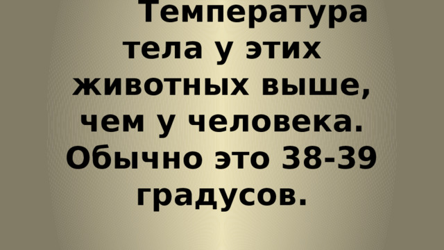  Температура тела у этих животных выше, чем у человека. Обычно это 38-39 градусов. 