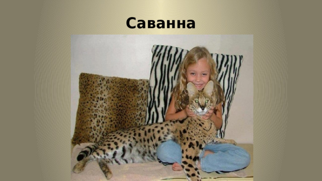 Саванна 