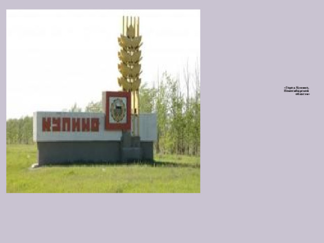        «Город Купино,  Новосибирской  области»          