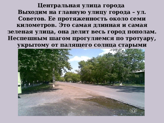 Центральная улица города  Выходим на главную улицу города – ул. Советов. Ее протяженность около семи километров. Это самая длинная и самая зеленая улица, она делит весь город пополам. Неспешным шагом прогуляемся по тротуару, укрытому от палящего солнца старыми тополями.   