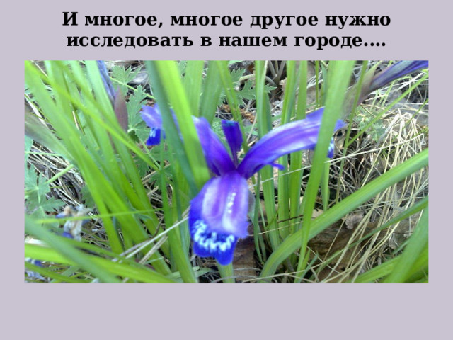 И многое, многое другое нужно исследовать в нашем городе.… 