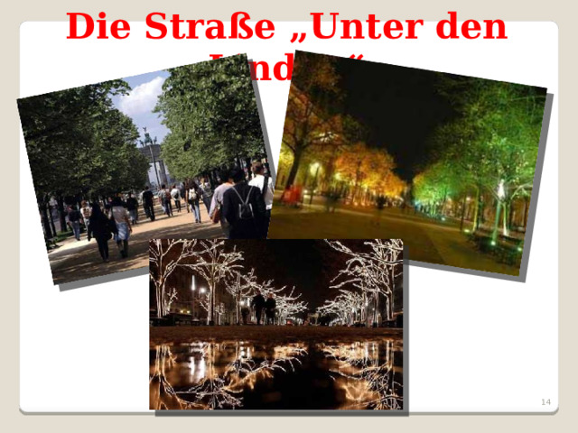 Die Straße „Unter den Linden“  