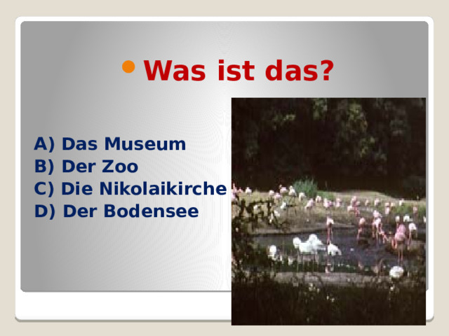 Was ist das? A) Das Museum B) Der Zoo C) Die Nikolaikirche D) Der Bodensee   