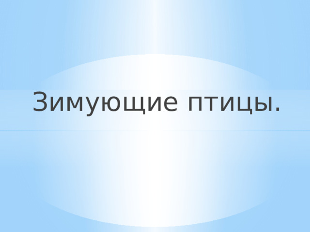    Зимующие птицы. 