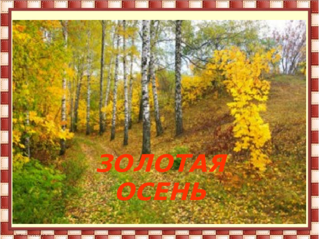 ЗОЛОТАЯ  ОСЕНЬ 