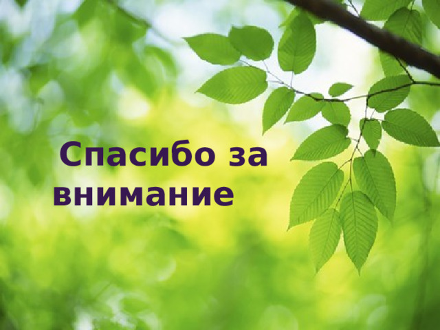  Спасибо за внимание 