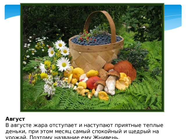 Август  В августе жара отступает и наступают приятные теплые деньки, при этом месяц самый спокойный и щедрый на урожай. Поэтому название ему Жнивень . 