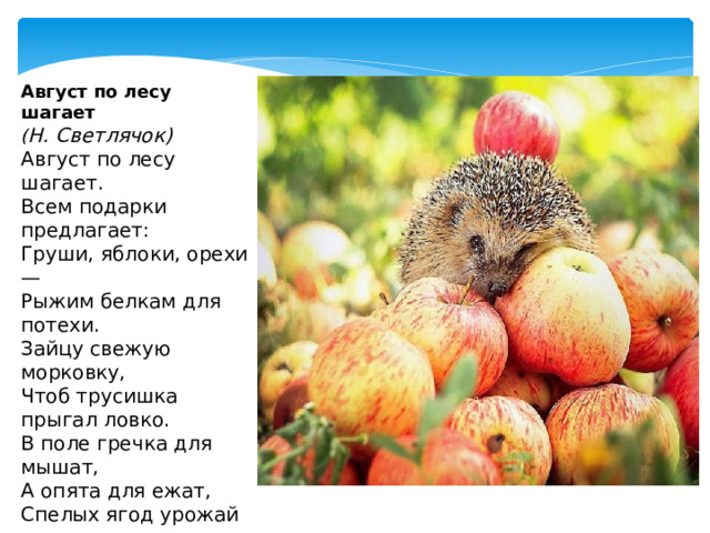 Август по лесу шагает  ( Н. Светлячок) Август по лесу шагает.  Всем подарки предлагает:  Груши, яблоки, орехи —  Рыжим белкам для потехи.  Зайцу свежую морковку,  Чтоб трусишка прыгал ловко.  В поле гречка для мышат,  А опята для ежат,  Спелых ягод урожай —  Толька вёдра подставляй!  Медвежонку сладкий мёд –  Август всем подарки шлёт. 
