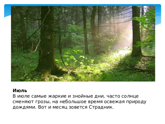 Июль  В июле самые жаркие и знойные дни, часто солнце сменяют грозы, на небольшое время освежая природу дождями. Вот и месяц зовется Страдник. 