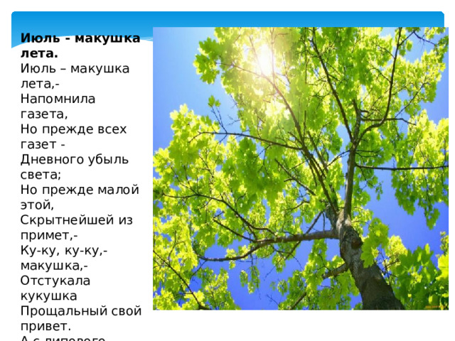 Июль - макушка лета. Июль – макушка лета,-  Напомнила газета,  Но прежде всех газет -  Дневного убыль света;  Но прежде малой этой,  Скрытнейшей из примет,-  Ку-ку, ку-ку,- макушка,-  Отстукала кукушка  Прощальный свой привет.  А с липового цвета  Считай, что песня спета,  Считай, пол-лета нет,-  Июль – макушка лета.    