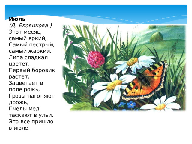 Июль  (Д. Еловикова ) Этот месяц самый яркий,  Самый пестрый, самый жаркий.  Липа сладкая цветет,  Первый боровик растет, Зацветает в поле рожь,  Грозы нагоняют дрожь,  Пчелы мед таскают в ульи.  Это все пришло в июле. 