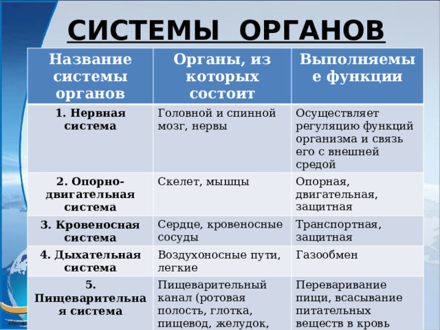  СИСТЕМЫ ОРГАНОВ Название системы органов Органы, из которых состоит 1. Нервная система Выполняемые функции Головной и спинной мозг, нервы 2. Опорно-двигательная система Осуществляет регуляцию функций организма и связь его с внешней средой Скелет, мышцы 3. Кровеносная система 4. Дыхательная система Опорная, двигательная, защитная Сердце, кровеносные сосуды Транспортная, защитная Воздухоносные пути, легкие 5. Пищеварительная система Газообмен Пищеварительный канал (ротовая полость, глотка, пищевод, желудок, кишечник), пищеварительные железы Переваривание пищи, всасывание питательных веществ в кровь 