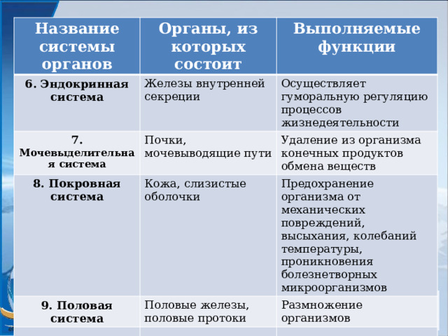 Название системы органов Органы, из которых состоит 6. Эндокринная система Железы внутренней секреции 7. Мочевыделительная система Выполняемые функции Почки, мочевыводящие пути 8. Покровная система Осуществляет гуморальную регуляцию процессов жизнедеятельности Кожа, слизистые оболочки Удаление из организма конечных продуктов обмена веществ 9. Половая система Предохранение организма от механических повреждений, высыхания, колебаний температуры, проникновения болезнетворных микроорганизмов Половые железы, половые протоки Размножение организмов Иногда все системы объединяются (для выполнения более сложной задачи) и образуют функциональную систему 