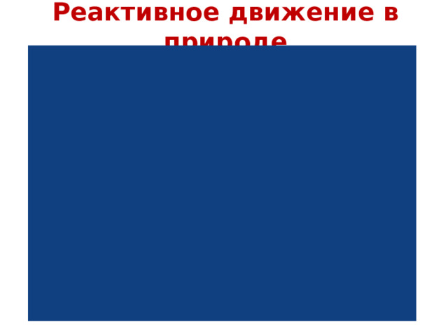 Реактивное движение в природе 