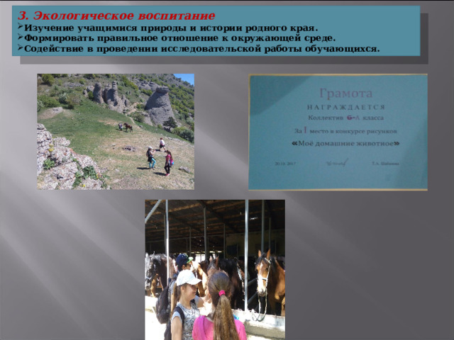 3. Экологическое воспитание Изучение учащимися природы и истории родного края. Формировать правильное отношение к окружающей среде. Содействие в проведении исследовательской работы обучающихся. 