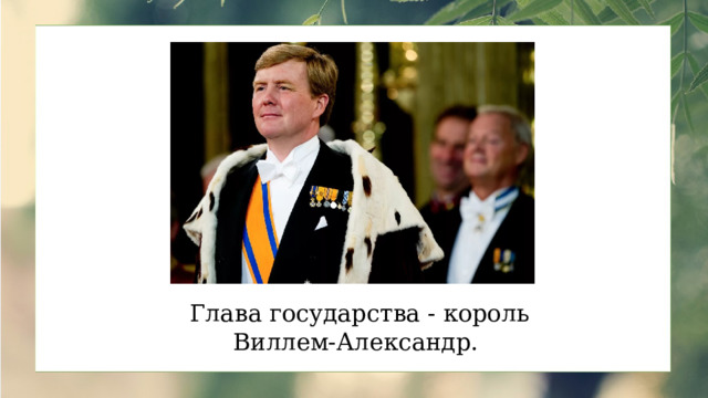 Глава государства - король Виллем-Александр. 