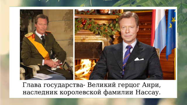 Глава государства- Великий герцог Анри, наследник королевской фамилии Нассау. 