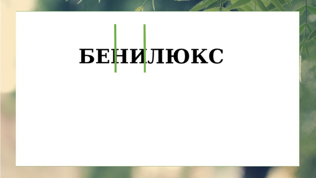 БЕНИЛЮКС 