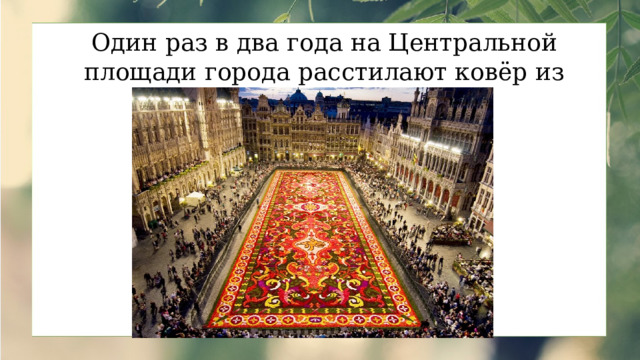 Один раз в два года на Центральной площади города расстилают ковёр из цветов. 