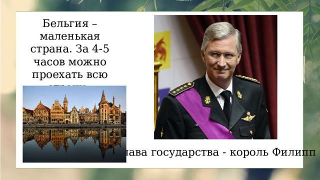 Бельгия – маленькая страна. За 4-5 часов можно проехать всю страну. Глава государства - король Филипп 