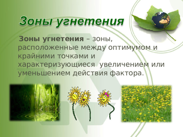  Зоны угнетения – зоны, расположенные между оптимумом и крайними точками и характеризующиеся увеличением или уменьшением действия фактора. 