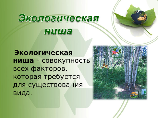  Экологическая ниша – совокупность всех факторов, которая требуется для существования вида. 