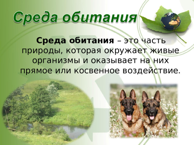  Среда обитания – это часть природы, которая окружает живые организмы и оказывает на них прямое или косвенное воздействие. 