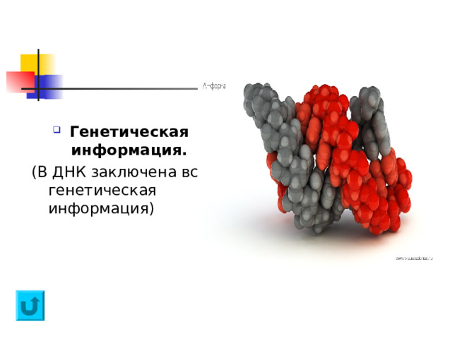 Генетическая информация. (В ДНК заключена вся генетическая информация) 