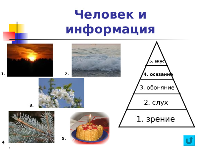 Человек и информация 5. вкус 1. 4. осязание 2. 3. обоняние 2. слух 3. 1. зрение 5. 4.. 