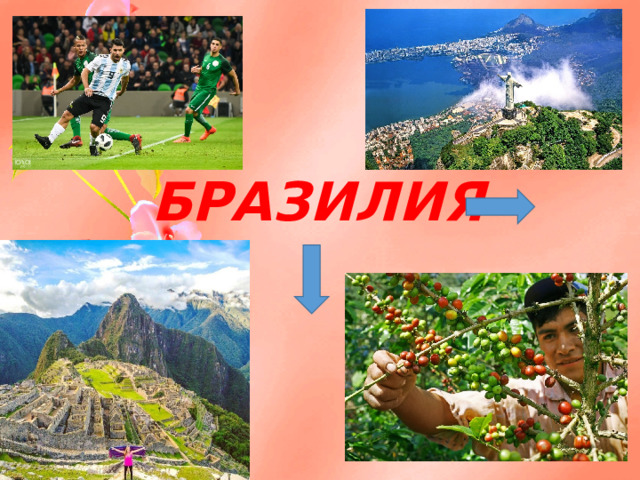 . БРАЗИЛИЯ 