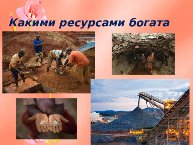 Какими ресурсами богата Бразилия?  